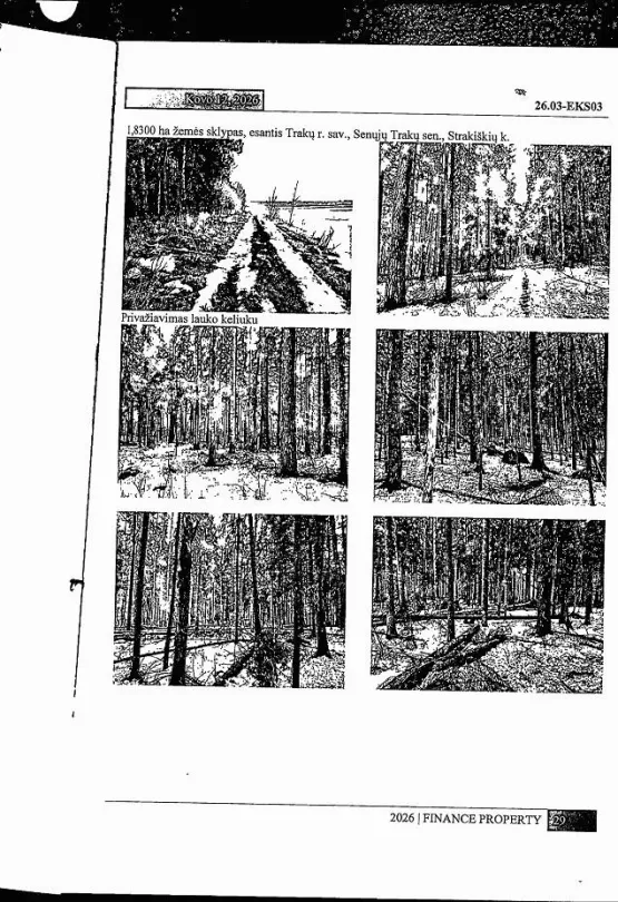 Miškų ūkio paskirties žemės sklypo 15/244 dalies pardavimas Strakiškių kaime