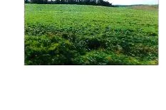 12,44 ha žemės ūkio paskirties sklypas Rodomislės k.