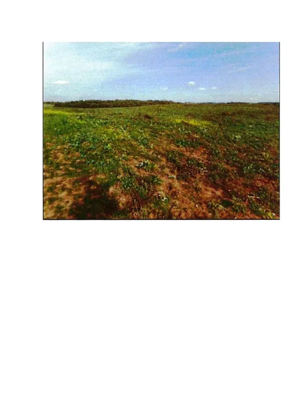 6,67 ha žemės ūkio paskirties sklypas Giriotiškių k., Prienų r. sav.
