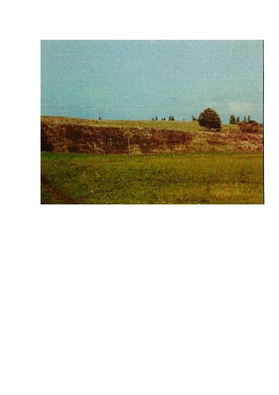 Parduodamas 5,2934 ha žemės ūkio paskirties sklypas Intuponių k., Prienų r. sav.