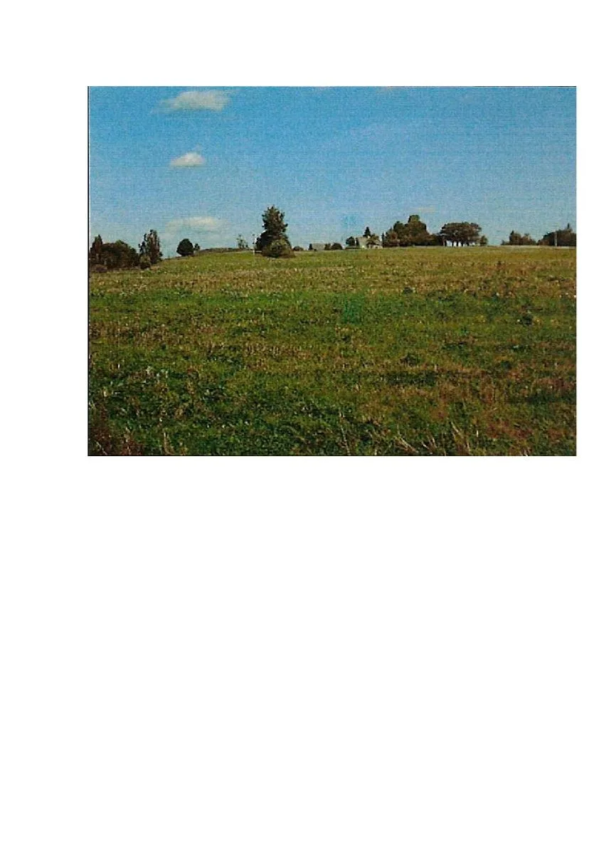 Parduodamas 5,0934 ha žemės ūkio paskirties sklypas Palapiškių k., Prienų r. sav.