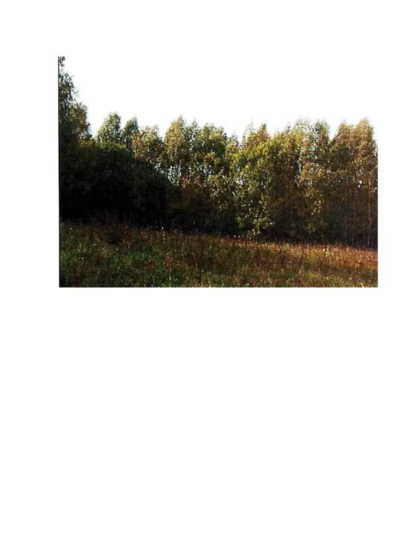 5,1673 ha žemės ūkio paskirties sklypas Prienų r. sav., Giriotiškių k.
