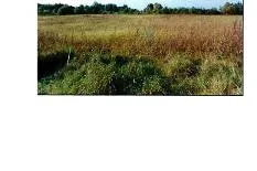 Parduodamas 1,9259 ha žemės ūkio paskirties sklypas Prienų r. sav., Intuponių k.
