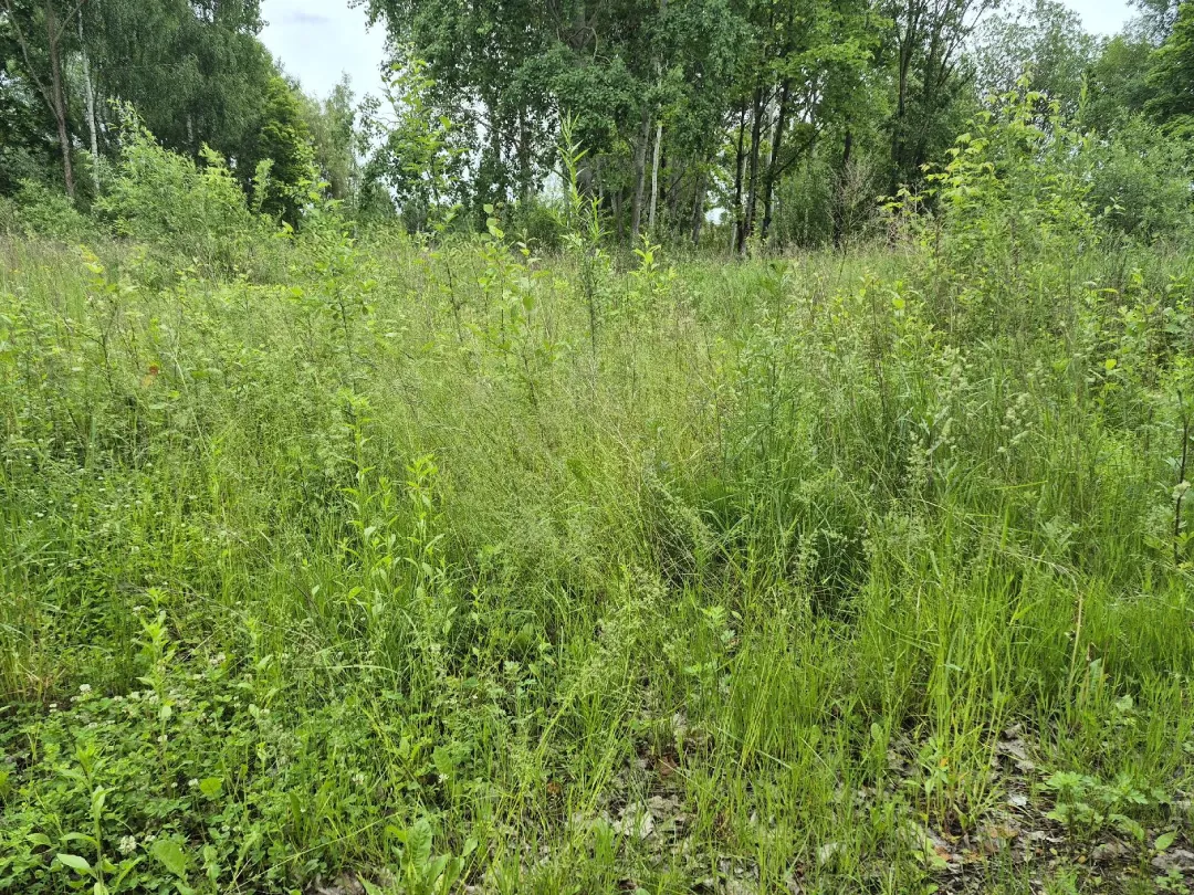 Parduodamas 8,4 a žemės sklypas Kėdainiuose, Dubinės 1-ojoje g. 2