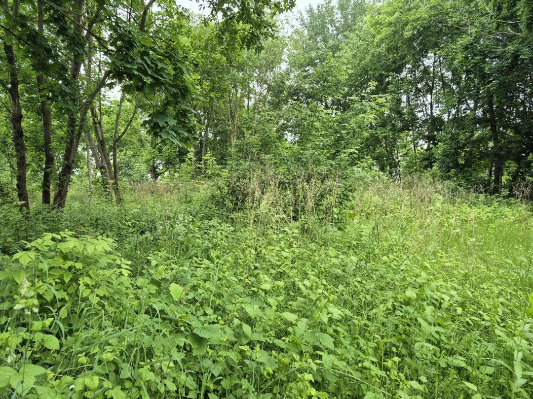 7,36 a žemės sklypas Kėdainių m., Dubinės 2-oji g.