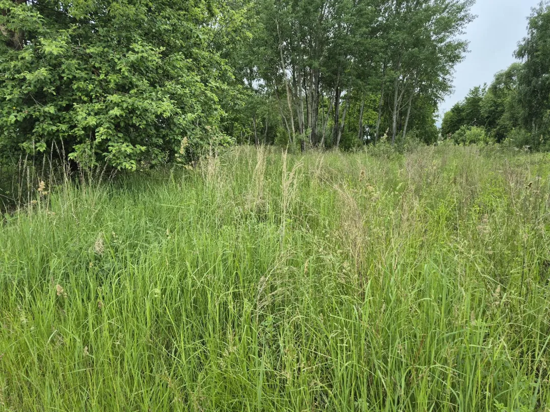Parduodamas 8,09 a žemės sklypas Kėdainiuose, Rytų g. 4A