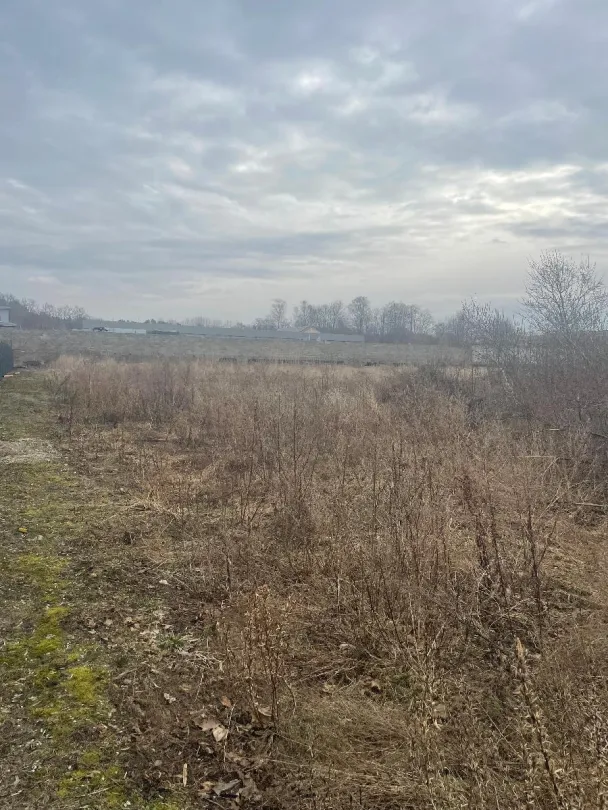 Parduodamas 15,46 a žemės sklypas Šilutėje, Nemuno g. 8B