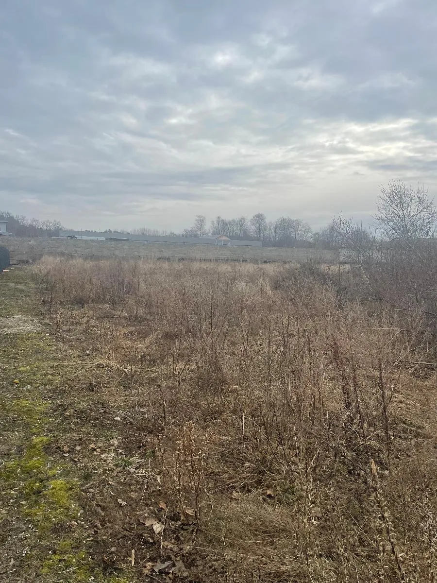 Parduodamas 15,46 a žemės sklypas Šilutėje, Nemuno g. 8B