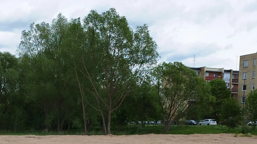 11,12 a žemės sklypas Radviliškyje, Spindulio g. 8